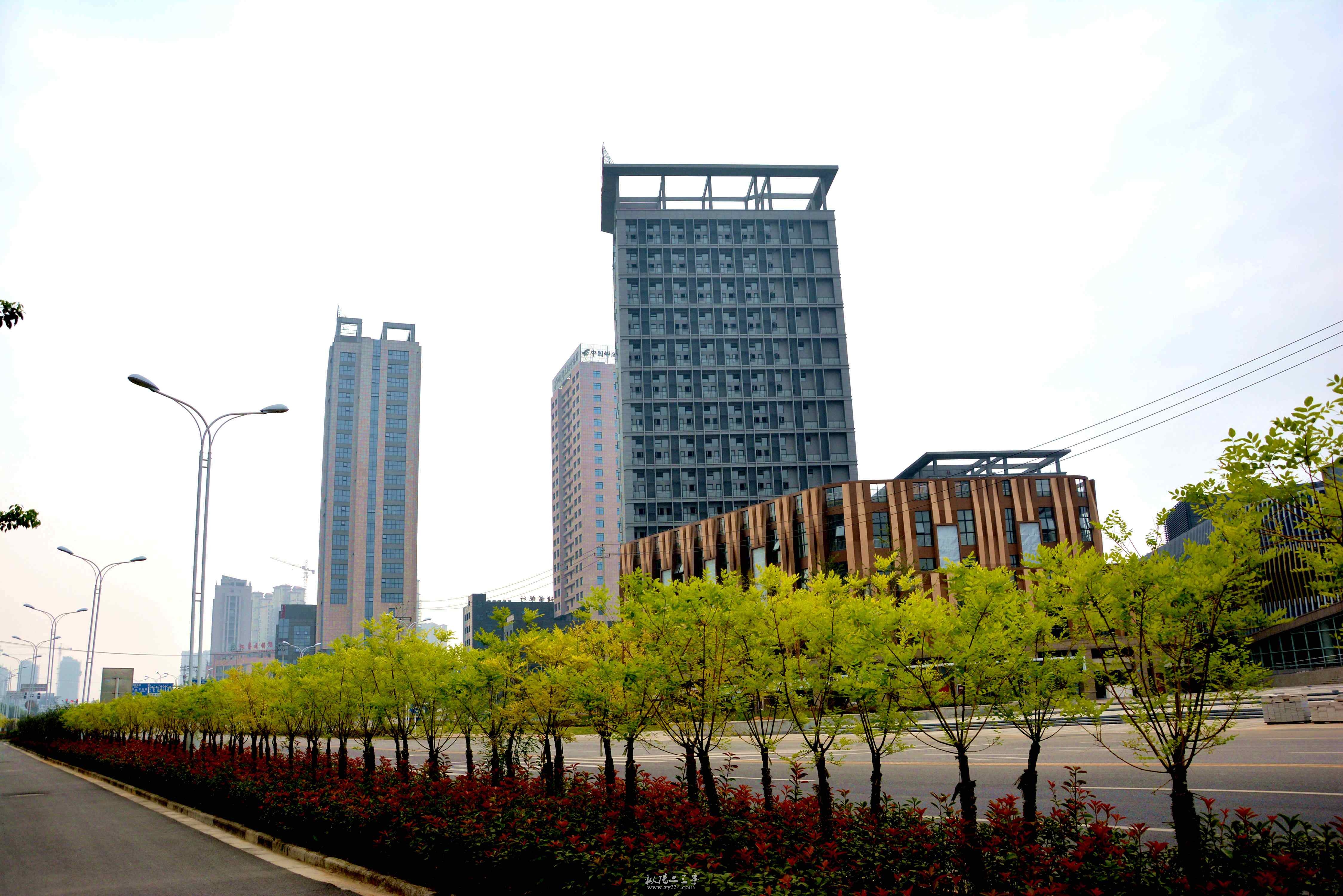 DSC_0065_副本_副本.jpg