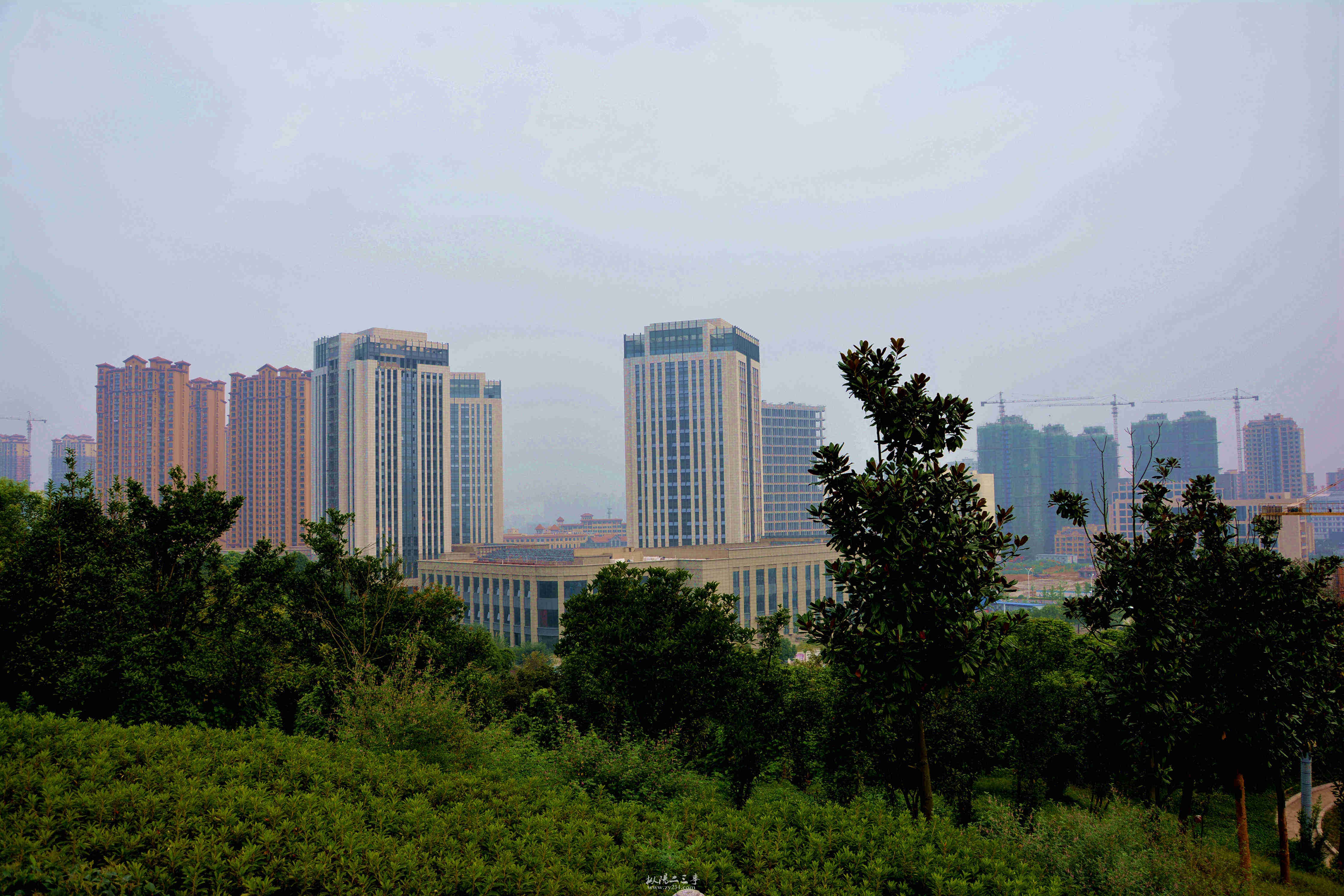 DSC_0047_副本_副本.jpg