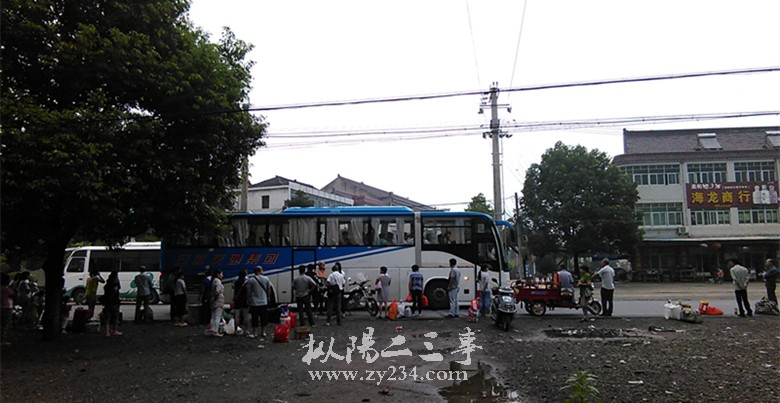 IMG_20150816_063550.jpg