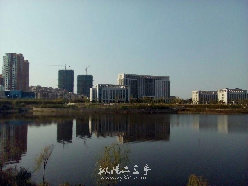 枞阳.jpg