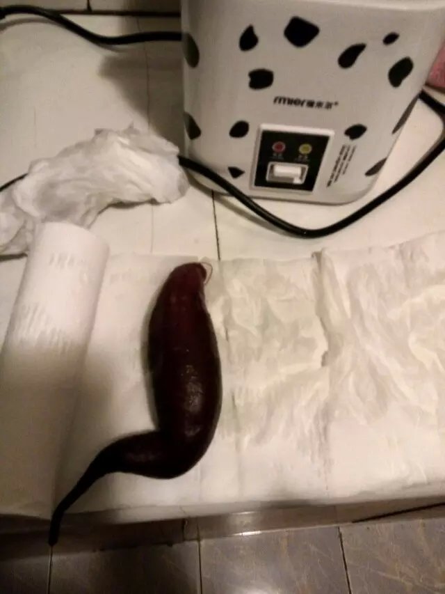 2..jpg
