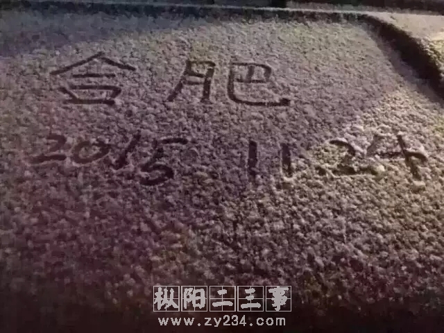 1合肥下雪啦.webp.jpg