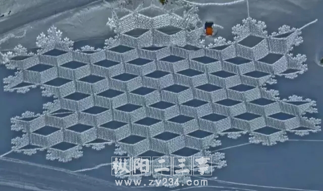 16合肥下雪啦.webp.jpg