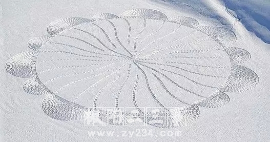 13合肥下雪啦.webp.jpg