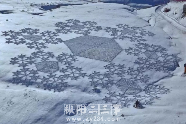 15合肥下雪啦.webp.jpg