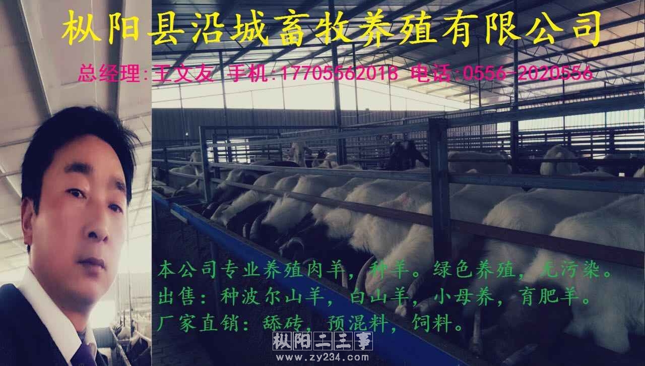 QQ图片20151116190902.jpg
