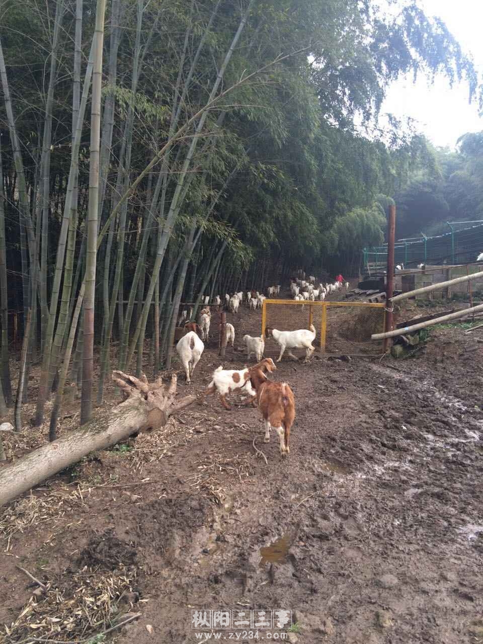 QQ图片20151116190841.jpg