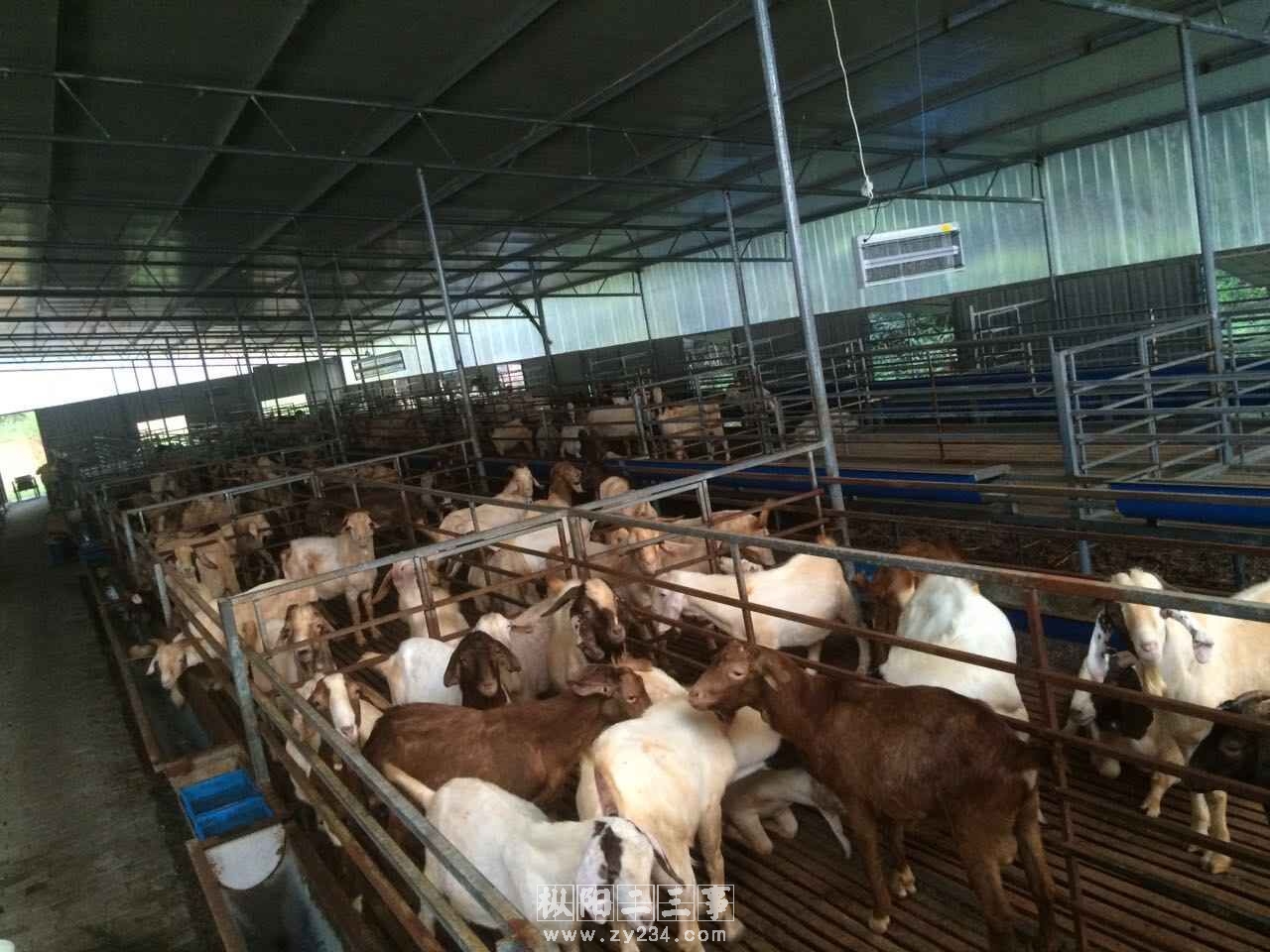 QQ图片20151116190851.jpg