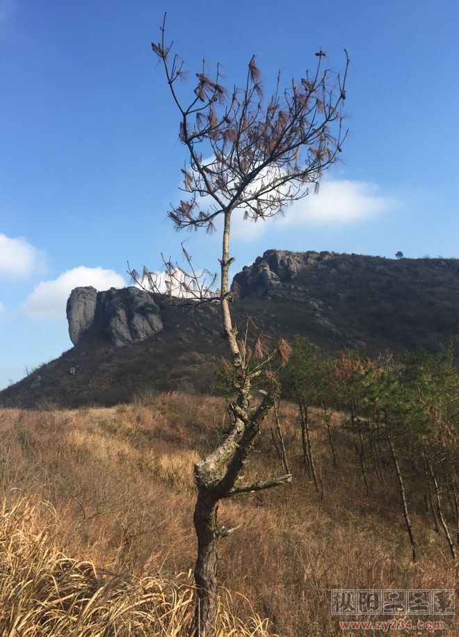 QQ图片20151210161326.jpg