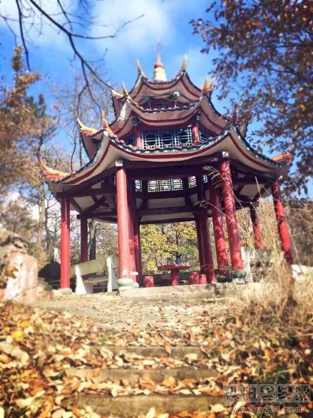 QQ图片20151210162325.jpg