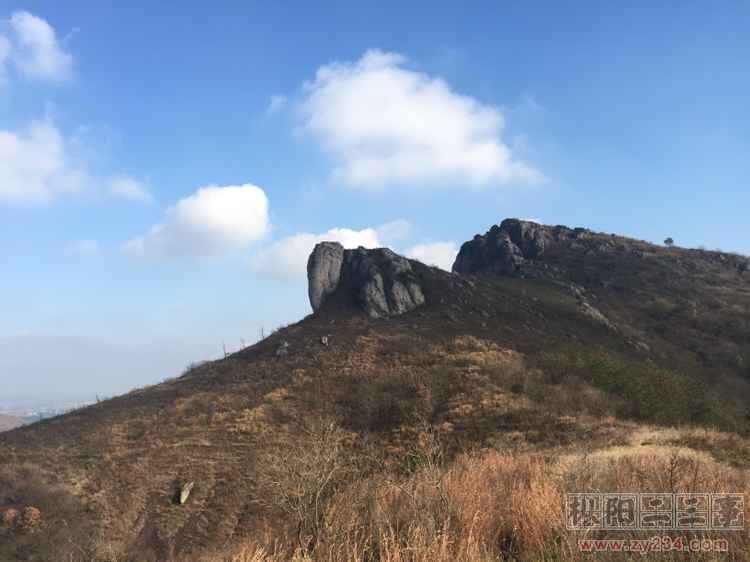 QQ图片20151210161131.jpg