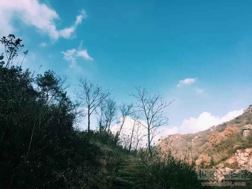 QQ图片20151210162259.jpg