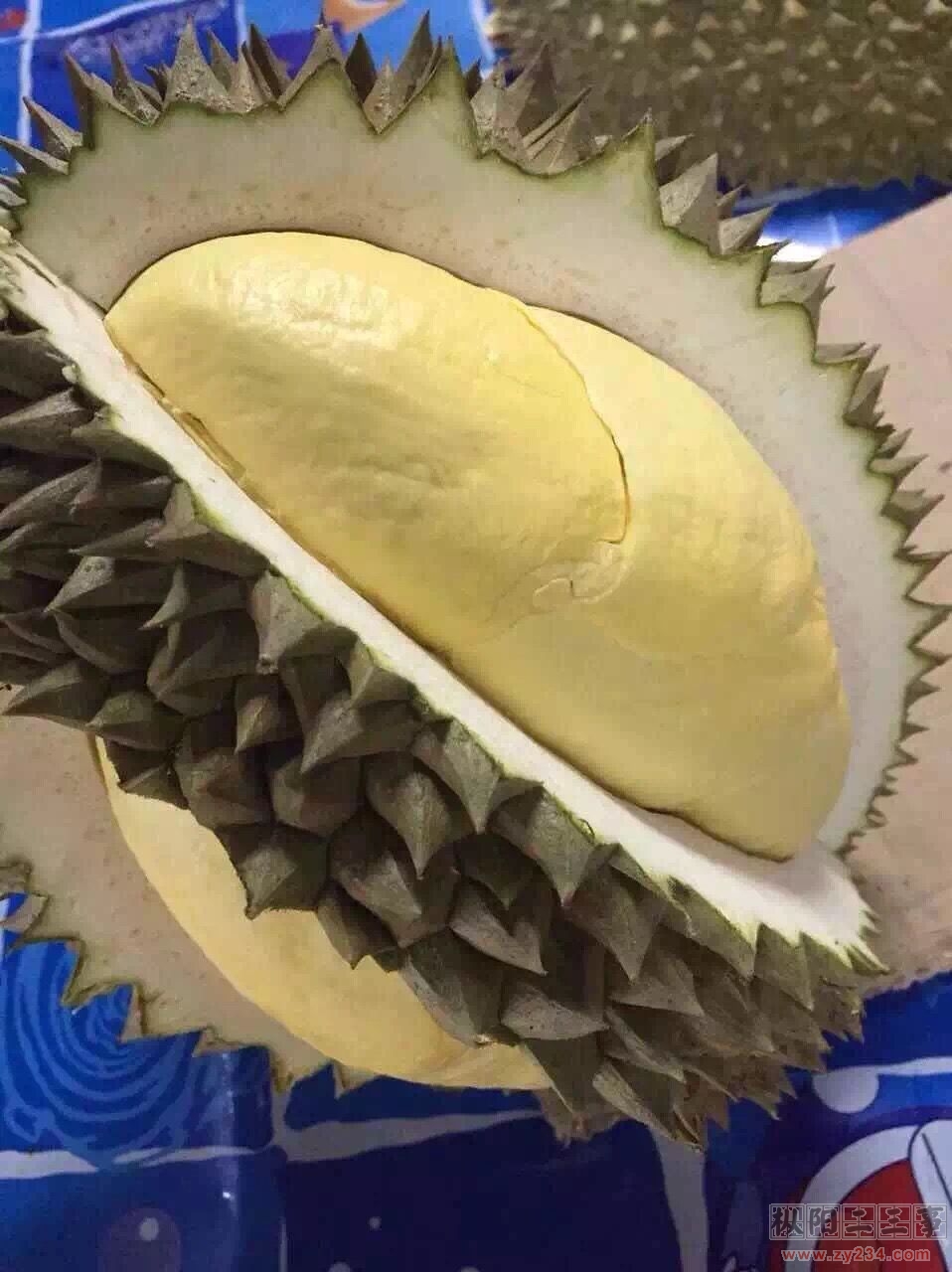 榴莲