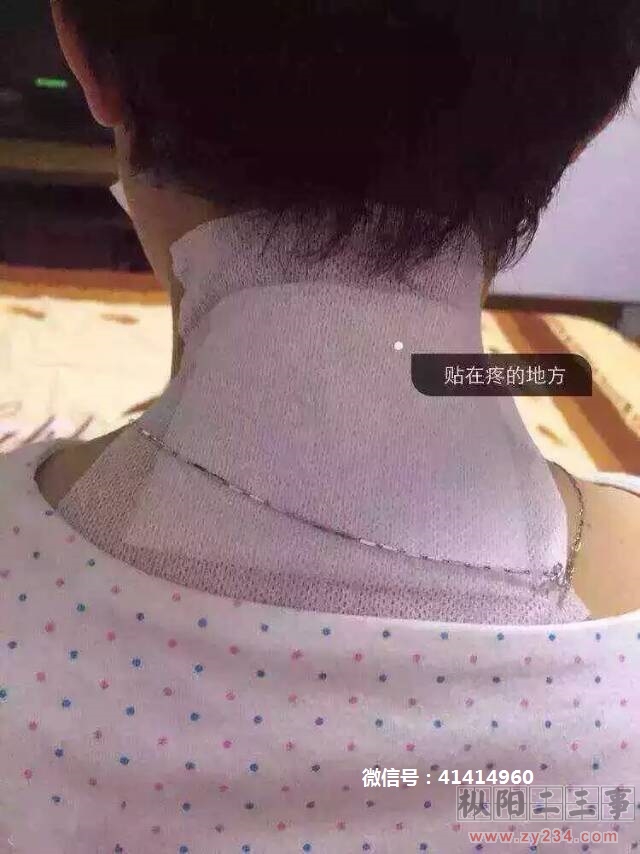 泰国虎标贴