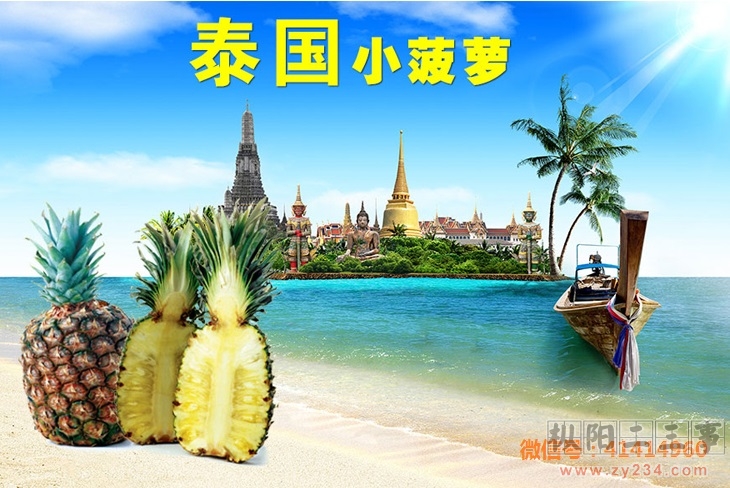 MINI小菠萝