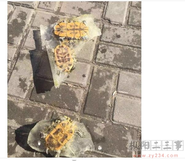 360截图20160125095704187.jpg