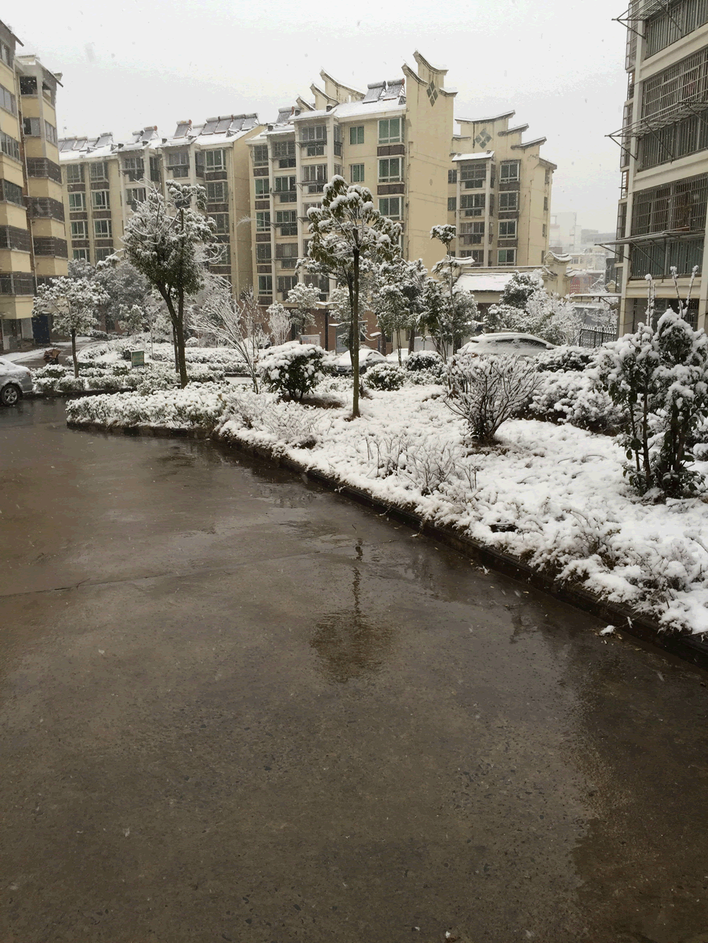 IMG_0016.gif
