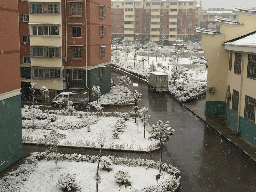 IMG_0015.gif