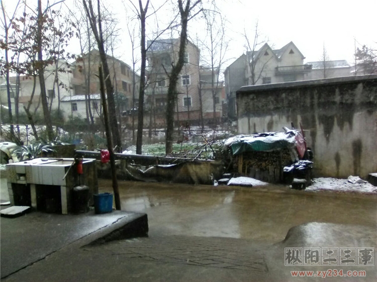 下雪2.jpg