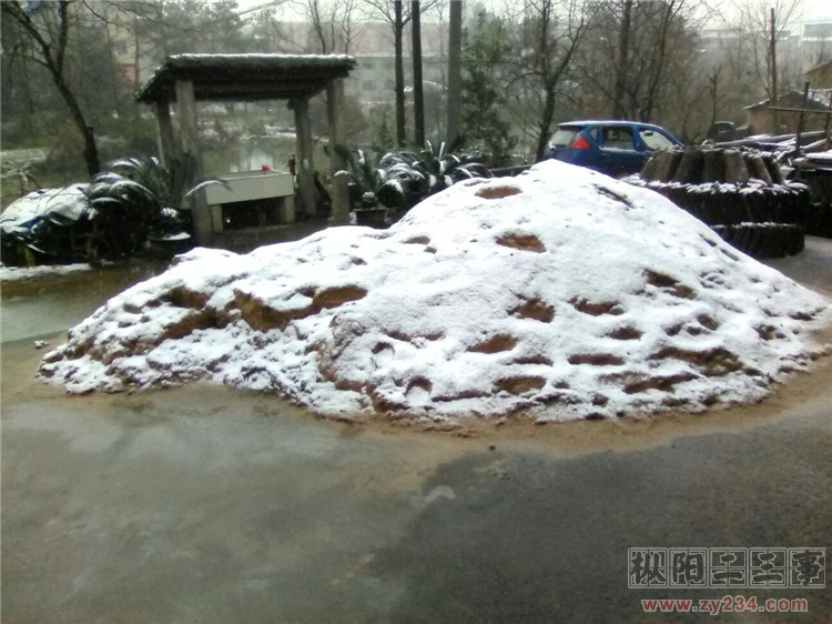 下雪1.jpg