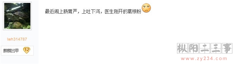 上胃肠炎用葛粉.jpg