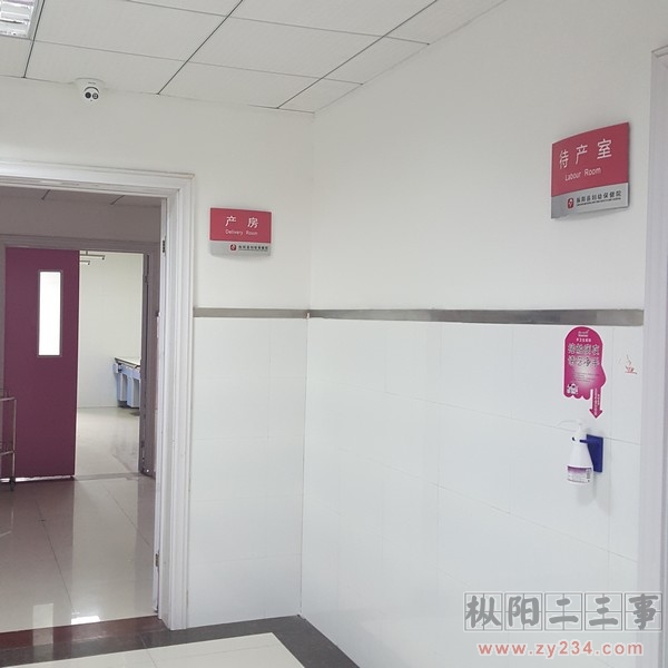 请输入描述