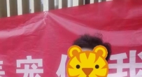 本地未婚帅哥