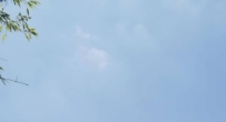 有缘人在何方